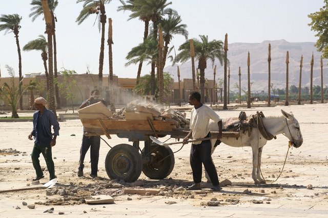 2007_egypttrip011